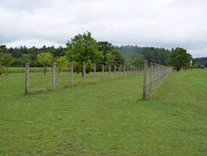 Sankt Crescentius on Tour in der Rhön (Foto: Karl-Franz Thiede)